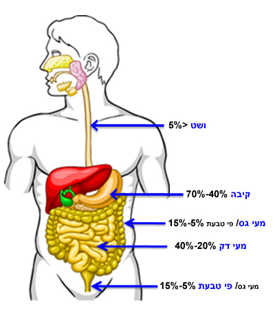 ha3_Digestive_system